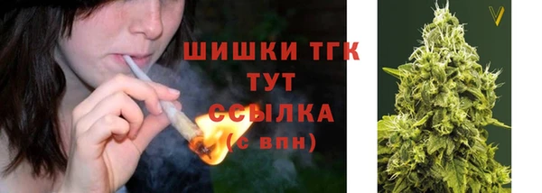 МДПВ Вяземский