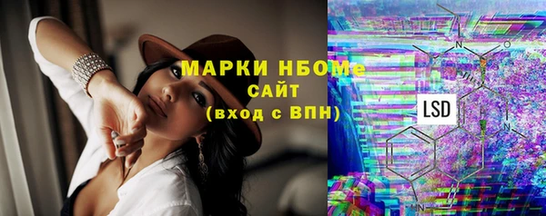 ПСИЛОЦИБИНОВЫЕ ГРИБЫ Вязники